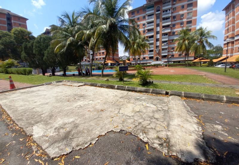 Evergreen Park Acorn and Hazel