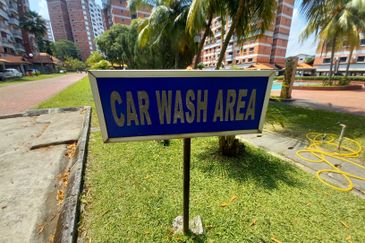 Evergreen Park Acorn and Hazel