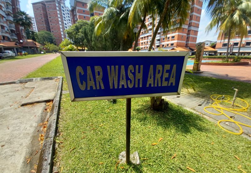 Evergreen Park Acorn and Hazel