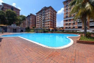 Evergreen Park Acorn and Hazel