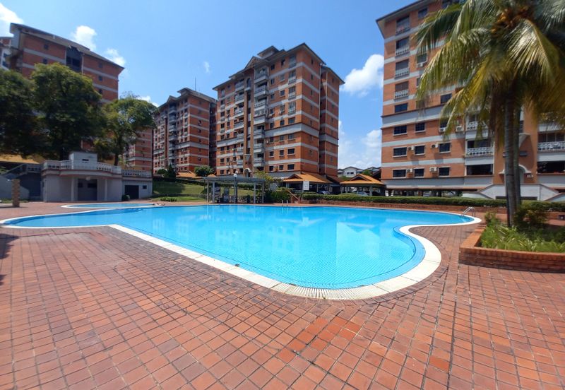 Evergreen Park Acorn and Hazel