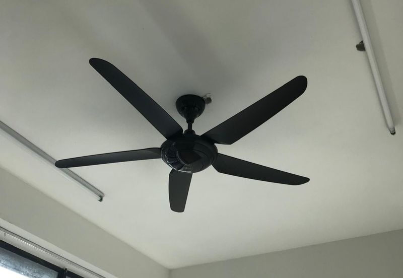 City of Green Condominium