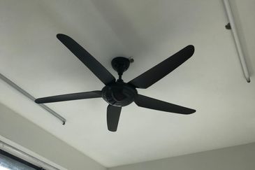 City of Green Condominium