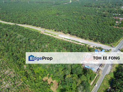 Parit Jawa Mukim Pontian Agricultural Land For Sale, Johor, Pontian