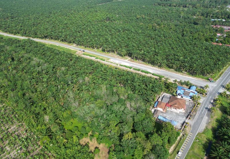 Rimba Terjun Pontian