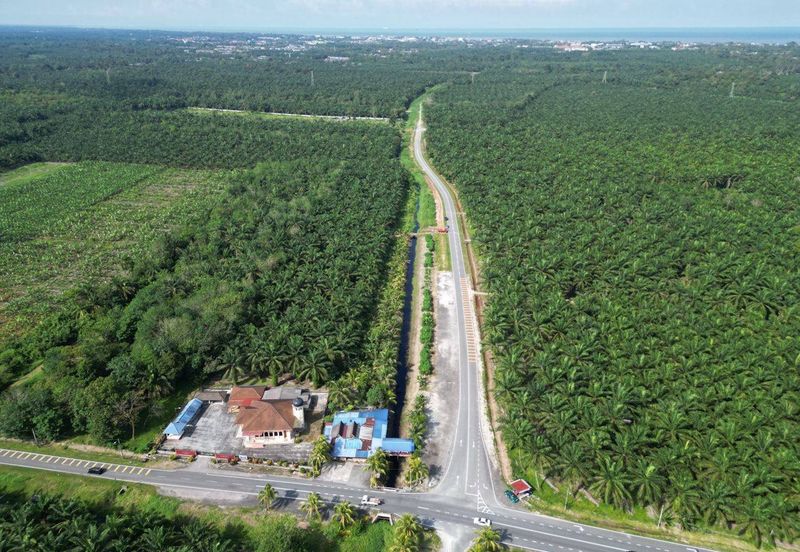 Rimba Terjun Pontian