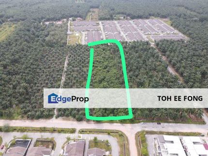 Batu Pahat Agriculture Land For Sale, Johor, Batu Pahat
