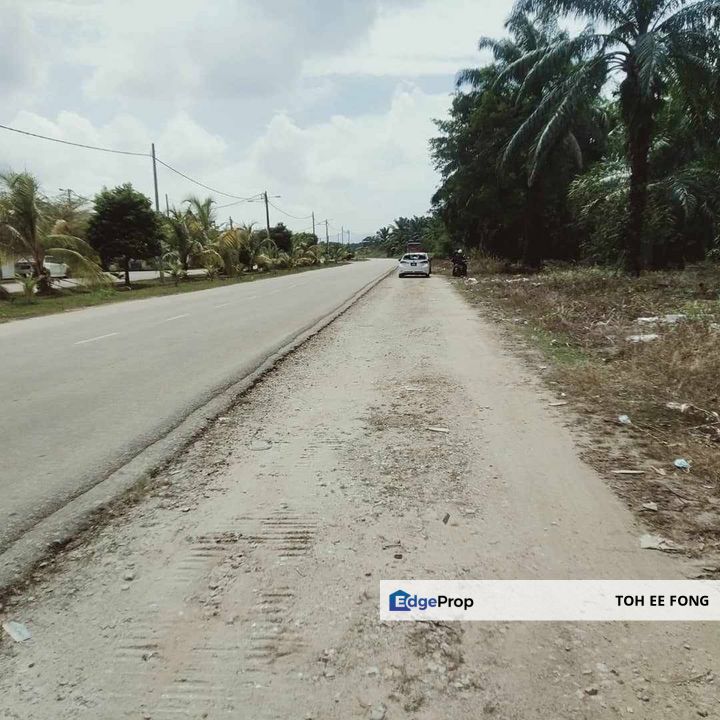 Batu Pahat Agriculture Land For Sale, Johor, Batu Pahat