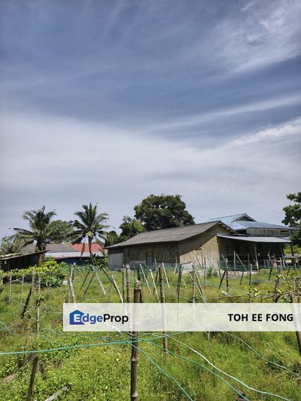 Pontian Bungalow Land For Sale, Johor, Pontian