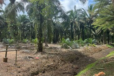 Taman Pontian Perdana