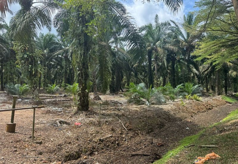 Taman Pontian Perdana