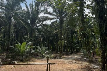 Taman Pontian Perdana