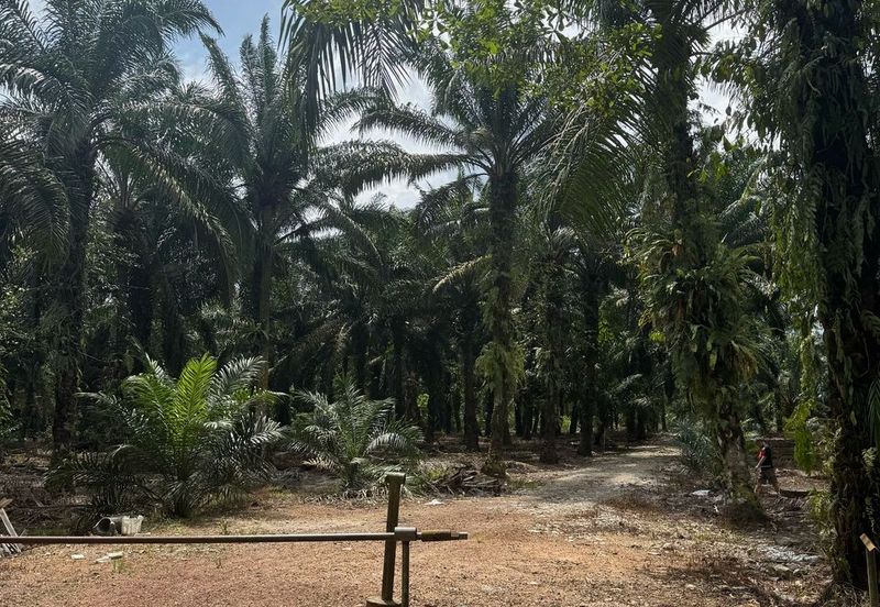 Taman Pontian Perdana