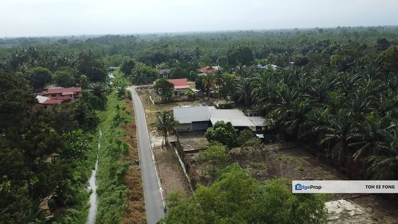 Pontian Durian Land Cornet Lot For Sale, Johor, Pontian