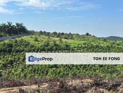 Seelong @ Kulai Agriculture Land For Sale, Johor, Senai