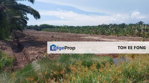 Kukup Pontian Gelang Patah Agriculture Land For Sale, Johor, Pontian