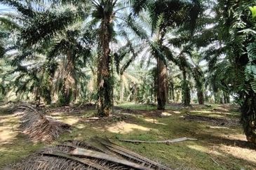 Bandar Baru Kangkar Pulai