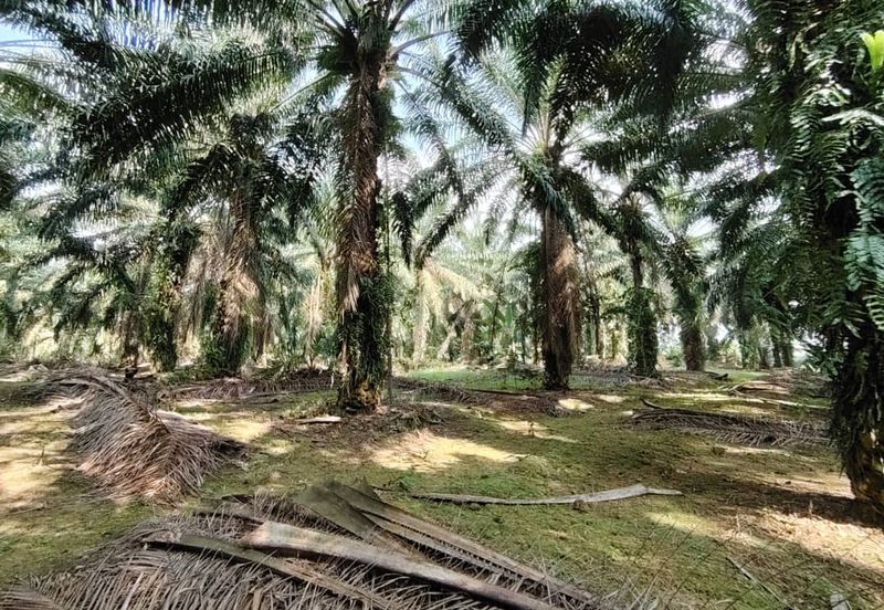 Bandar Baru Kangkar Pulai