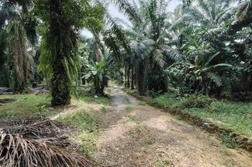 Bandar Baru Kangkar Pulai