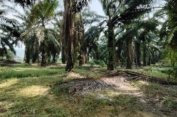 Bandar Baru Kangkar Pulai