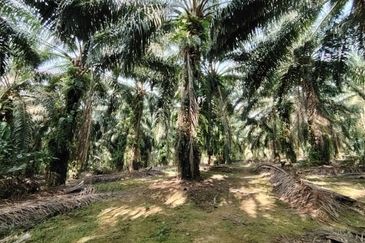 Bandar Baru Kangkar Pulai