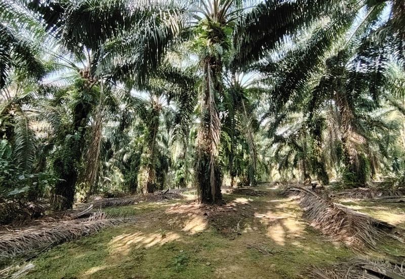 Bandar Baru Kangkar Pulai