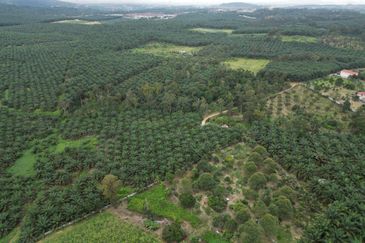 Bandar Baru Kangkar Pulai