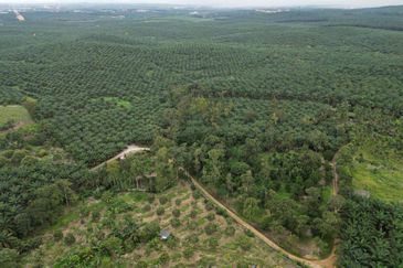 Bandar Baru Kangkar Pulai