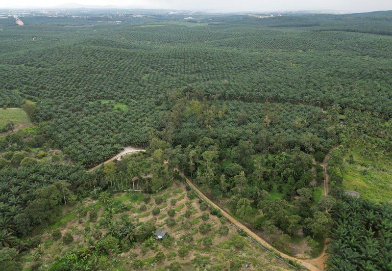 Bandar Baru Kangkar Pulai