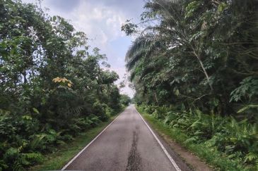 Pekan Nanas Industrial