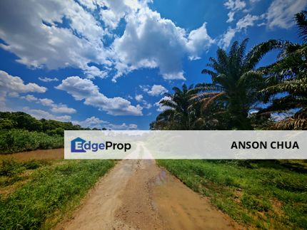 Senai @ 5.3 Acres Agriculture Land (Zoned Commercial) For Sale, Johor, Kulai