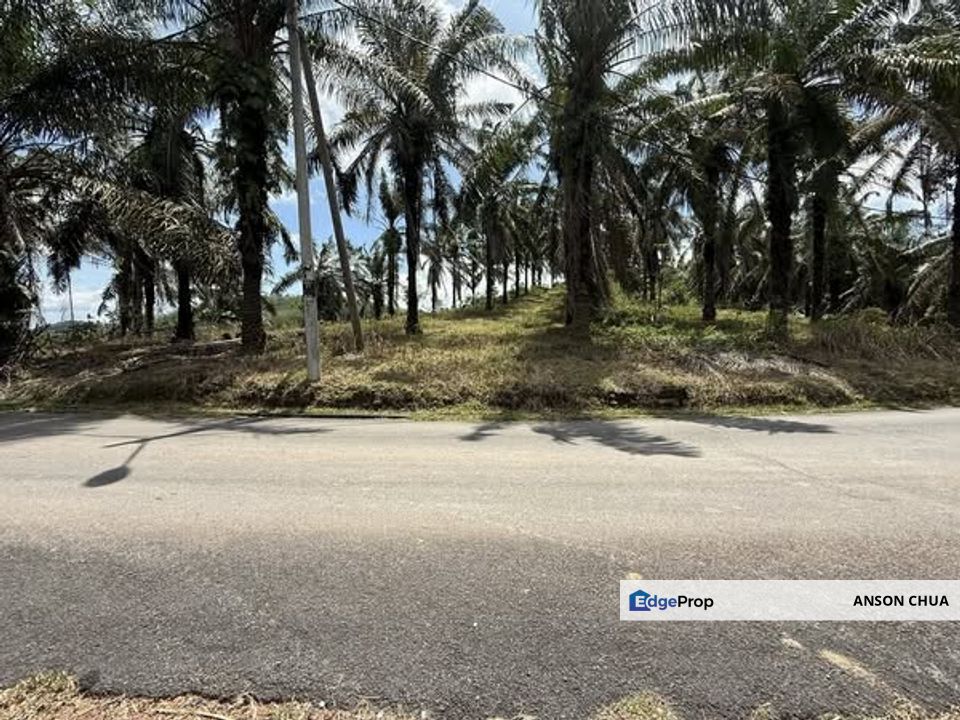 Simpang Renggam @ 16 Acres Roadside Freehold Land with Utilities For Sale, Johor, Kluang