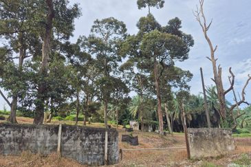 Rimba Terjun Pontian