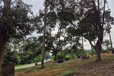 Rimba Terjun Pontian