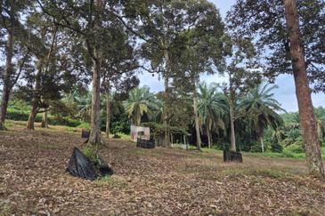 Rimba Terjun Pontian