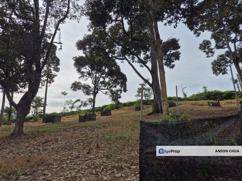 Pontian @ Roadside Agriculture Land For Sale – 1.05 Acres, Johor, Pontian