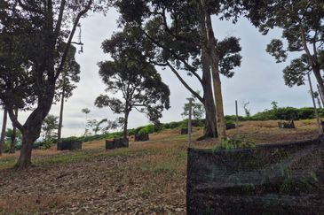 Rimba Terjun Pontian