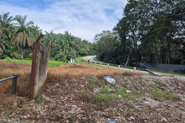 Rimba Terjun Pontian