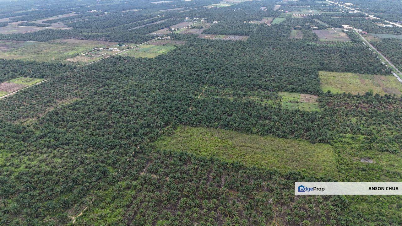 Mukim Ulu Benut 5 Acres Agricultural Land For Sale, Johor, Kluang