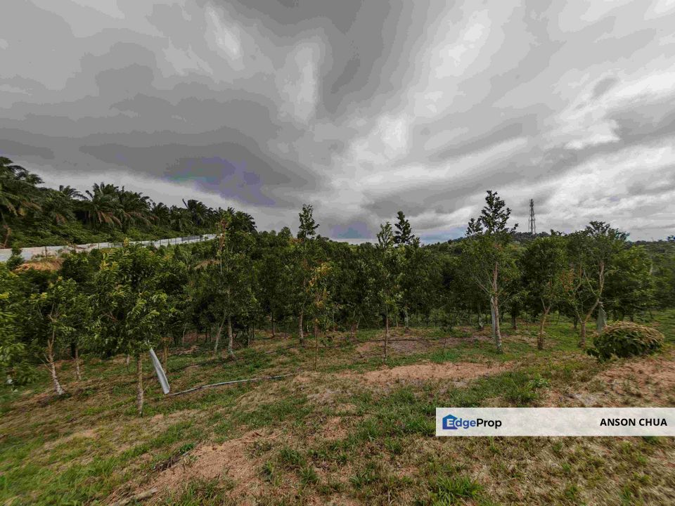 Seelong @ 8 Acres Agricultural Land For Sale, Johor, Senai