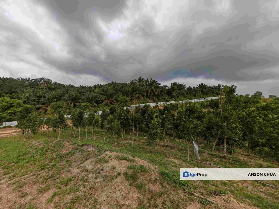 Seelong @ 8 Acres Agricultural Land For Sale, Johor, Senai