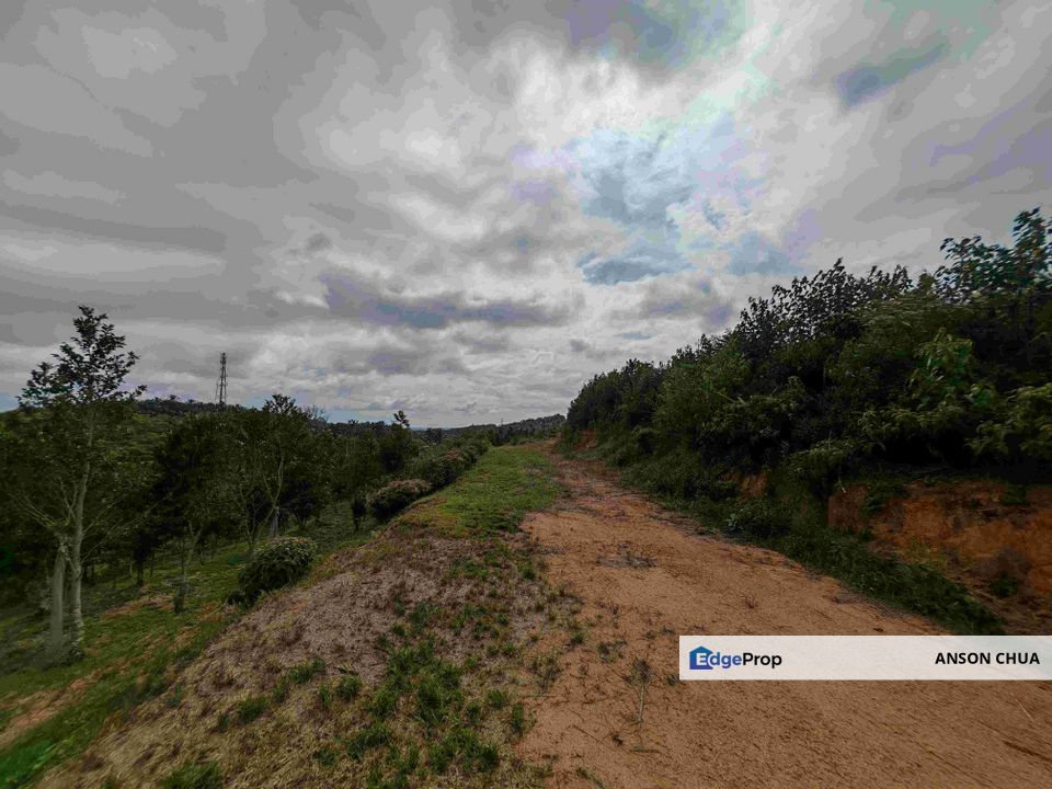 Seelong @ 8 Acres Agricultural Land For Sale, Johor, Senai