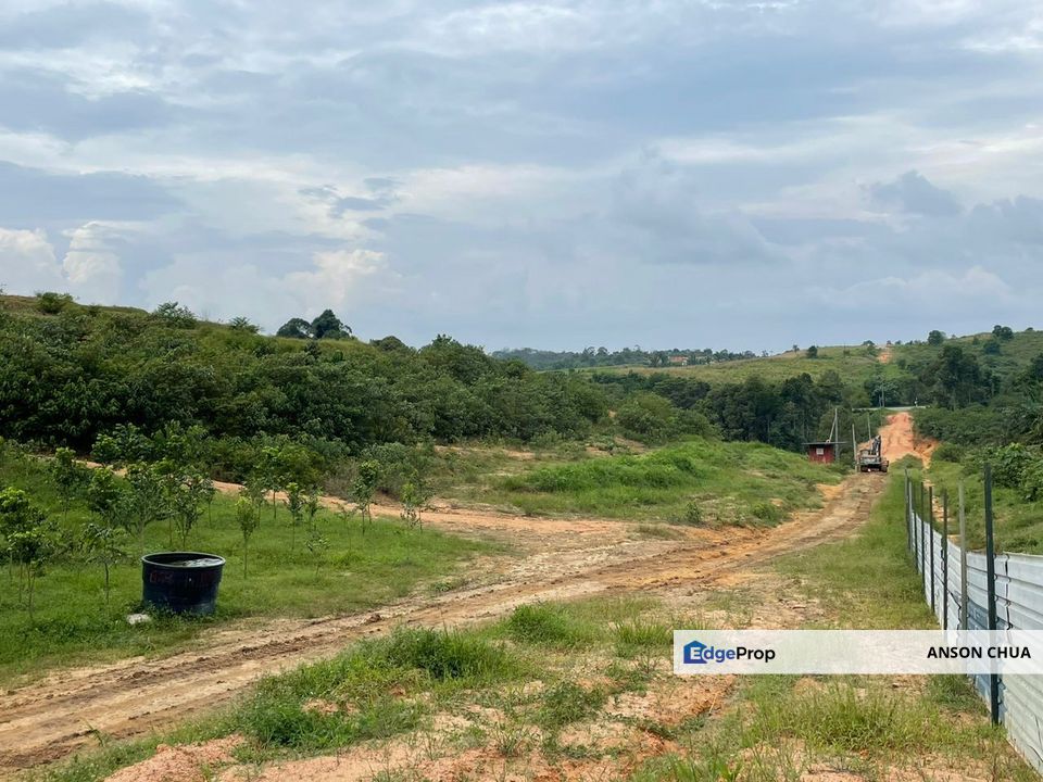 Seelong Selatan @ 8 Acres Agricultural Land For Sale, Johor, Senai