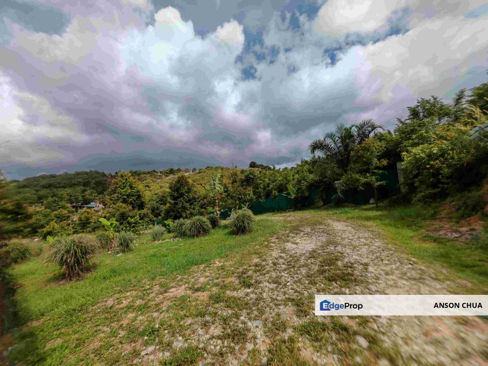 Seelong Selatan @ 8 Acres Agricultural Land For Sale, Johor, Senai