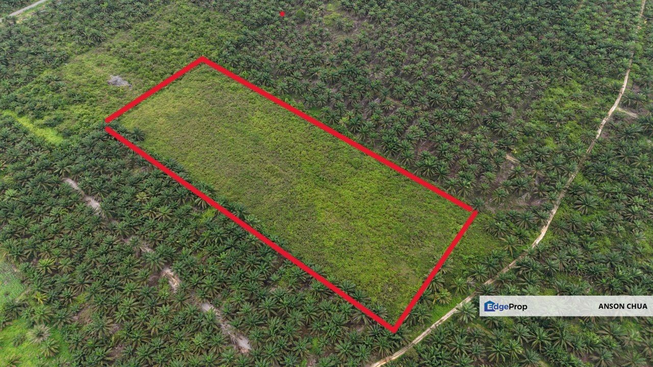 Simpang Renggam @ 5 Acres Agricultural Land For Sale, Johor, Kluang