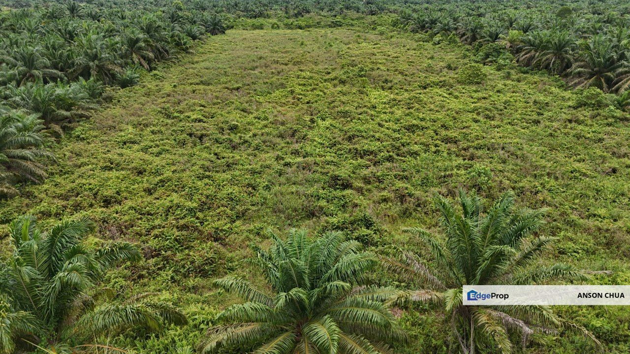 Simpang Renggam @ 5 Acres Agricultural Land For Sale, Johor, Kluang