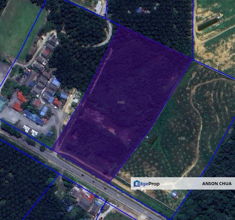 Kota Tinggi @ Roadside Agriculture Land For Sale, Johor, Kota Tinggi