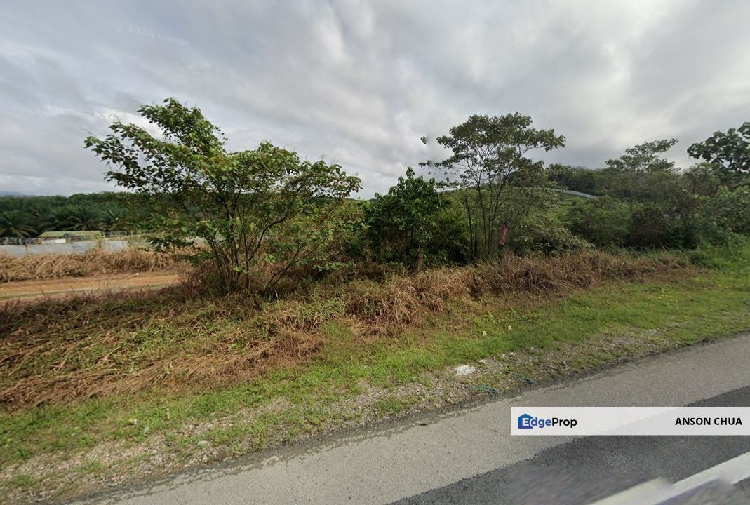 Kota Tinggi @ Roadside Agriculture Land For Sale, Johor, Kota Tinggi