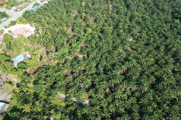 Rimba Terjun Pontian