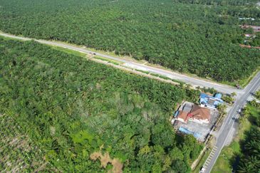 Rimba Terjun Pontian